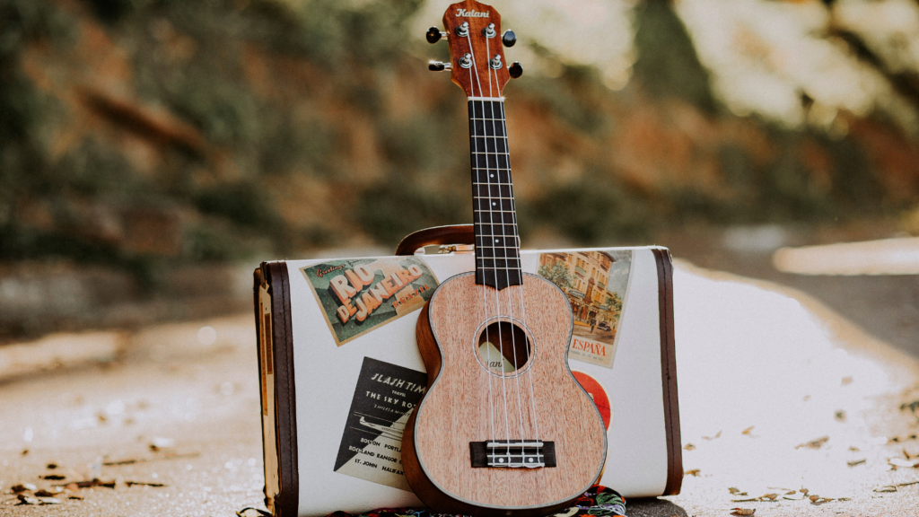 How To Choose The Perfect Instrument For You